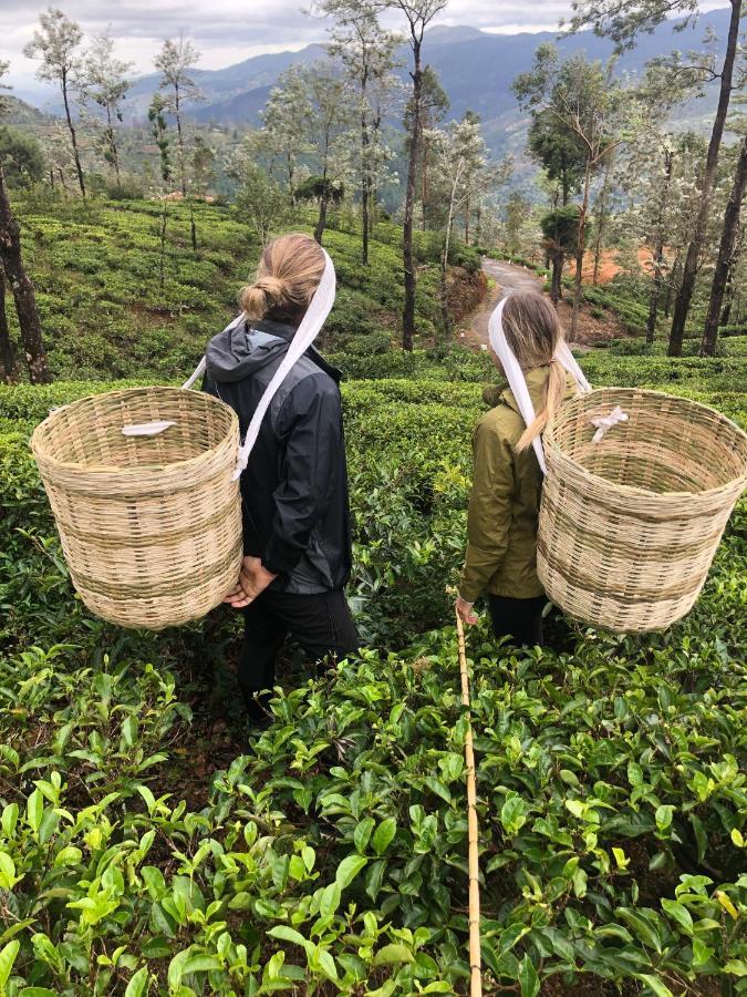 Tea And Experience Factory - Thema Collection Hotel Mandaran Newara Buitenkant foto